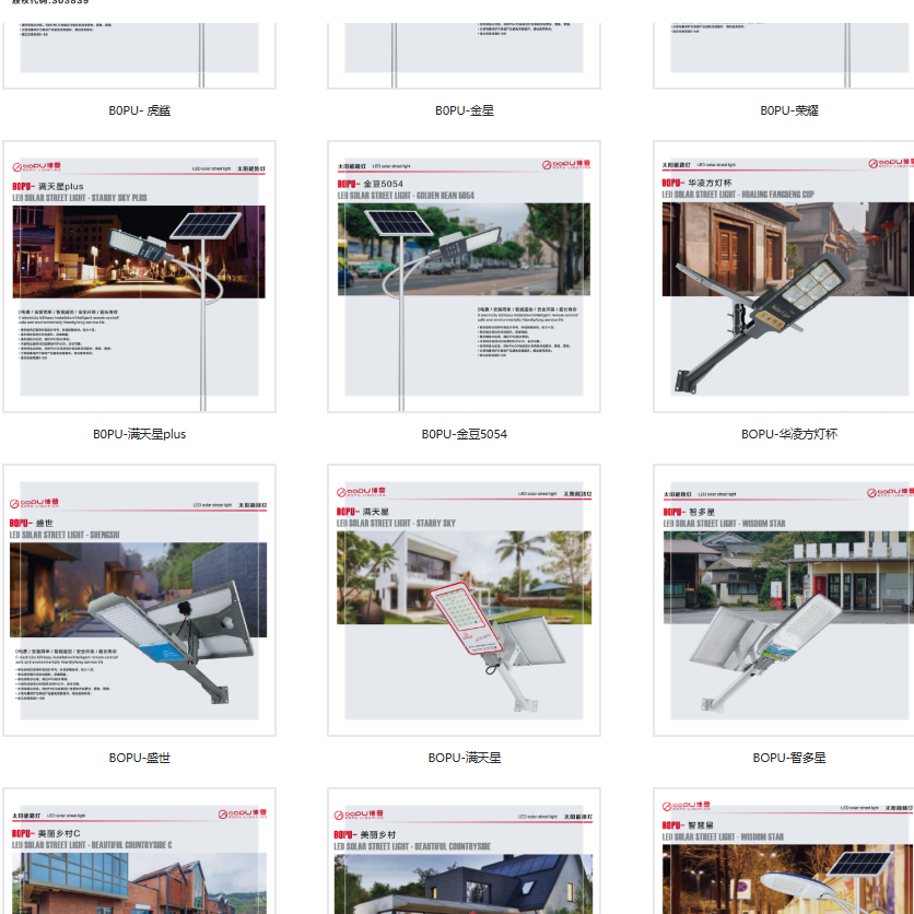 山东博普光电照明科技有限公司